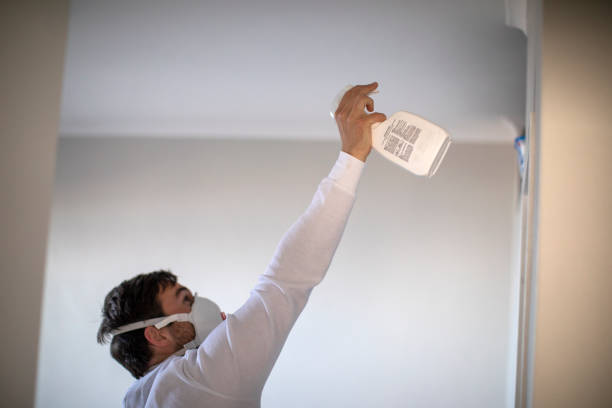 Best Affordable Mold Removal  in Liberty City, TX