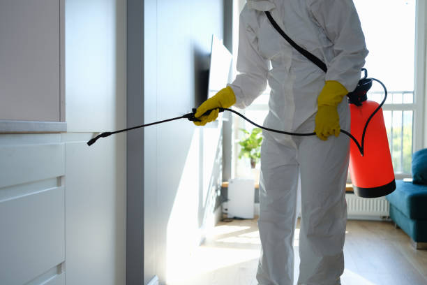 Best Crawl Space Mold Removal  in Liberty City, TX