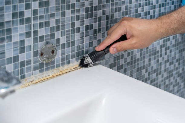 Liberty City, TX Mold Removal Company